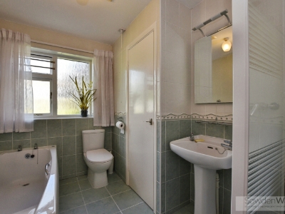 Picture 11